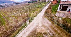 APPARTAMENTO IMMERSO NEL VERDE