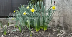 APPARTAMENTO ARREDATO CON GIARDINO