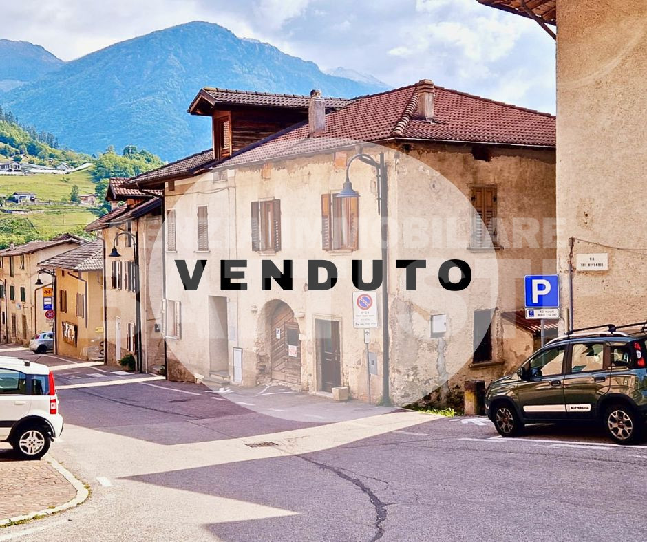 INTERA PORZIONE IN CENTRO