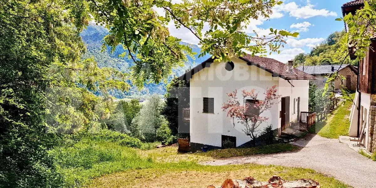 CASA INDIPENDENTE CON TERRENO