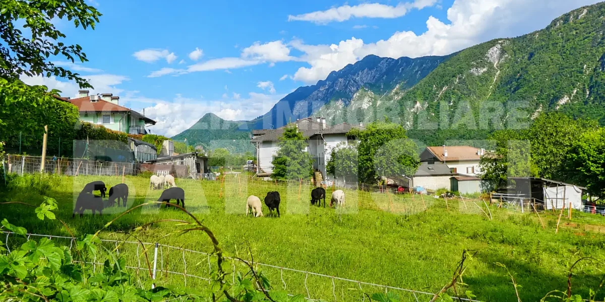 PORZIONE CON TERRENO