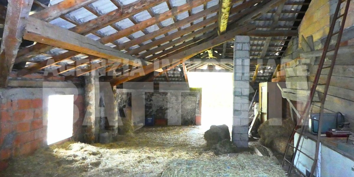 PORZIONE CON TERRENO