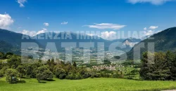 AFFITTO IN ALTA VALSUGANA