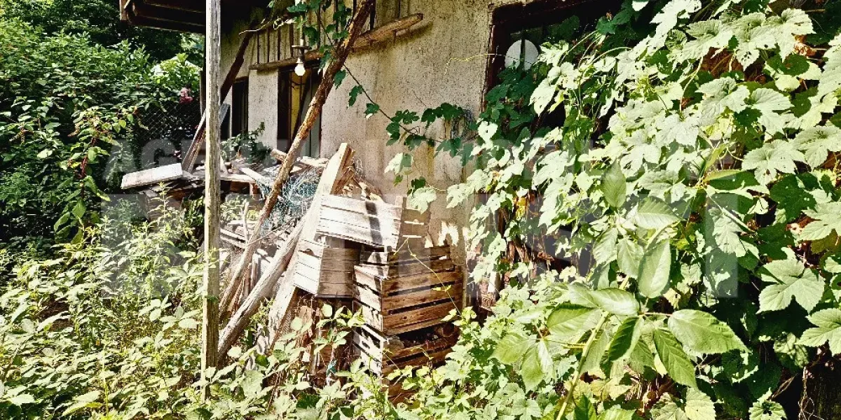 ALLOGGIO IN CAMPAGNA