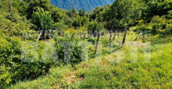 PORZIONE IN COLLINA RISTRUTTURATA