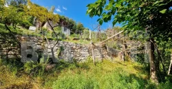 PORZIONE IN COLLINA RISTRUTTURATA