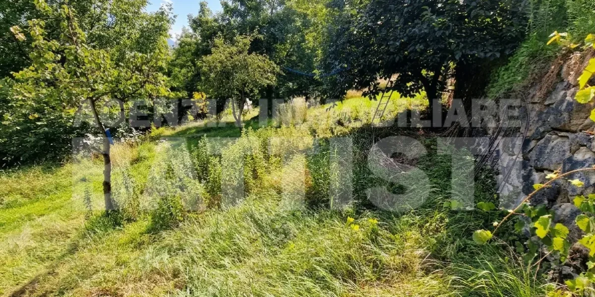 PORZIONE IN COLLINA RISTRUTTURATA