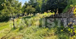 PORZIONE IN COLLINA RISTRUTTURATA