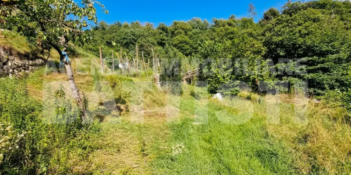 PORZIONE IN COLLINA RISTRUTTURATA