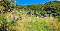 PORZIONE IN COLLINA RISTRUTTURATA