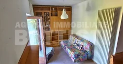 APPARTAMENTO CON GARAGE E POSTO AUTO – LONA / LASES
