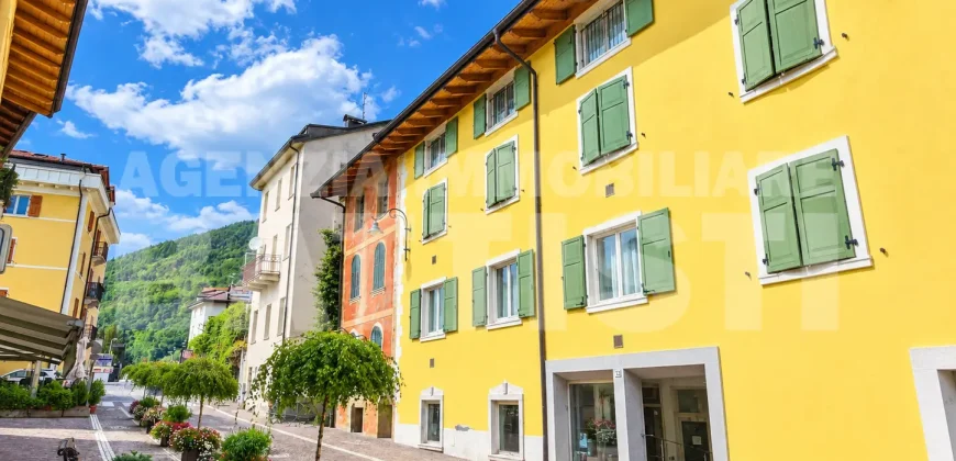 LUMINOSO ALLOGGIO VICINO ALLE TERME