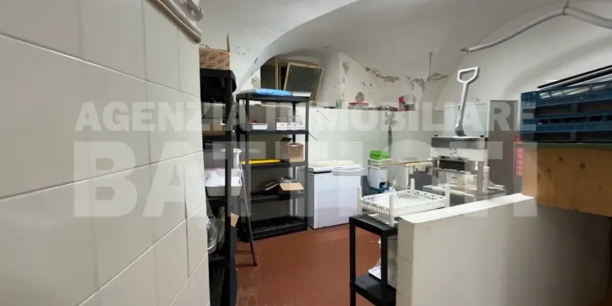 PORZIONE CON NEGOZIO E RUSTICO